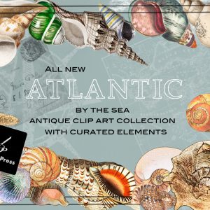 AtlanticCoverII
