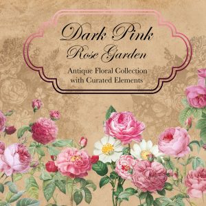 DarkPinkRoseGardenCollection