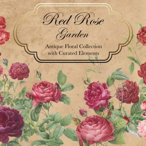 RedRoseGardenCover