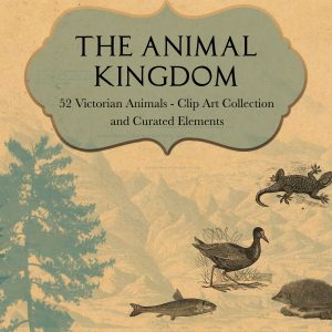 TheAnimalKingdomCover