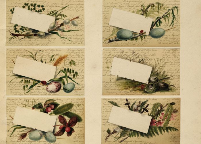 sonnettonatureephemera7 sonnettonatureephemera7